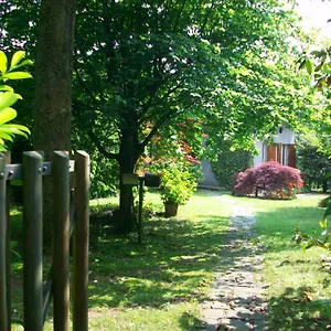 L'albero Maestro Bed & Breakfast